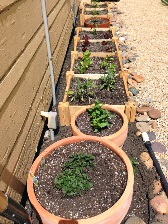 Full view of containers and raised beds