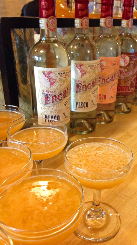 Pisco Apricot Tropical, made with Campo de Encanto Pisco and Frog Hollow apricots (Greg Linden: Rye on the Road)