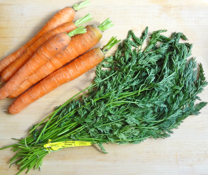 Carrot greens