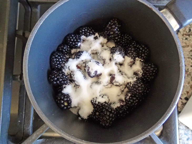 Combine blackberries, sugar, lemon juice, and water in a saucepan