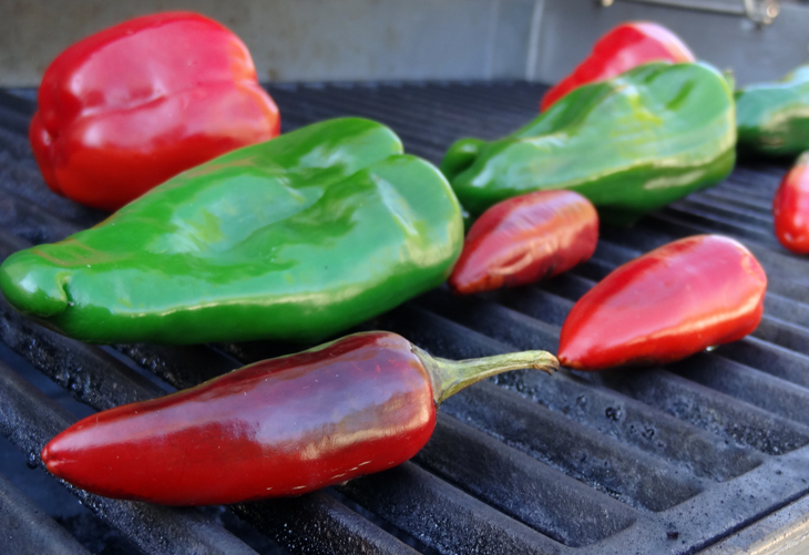 Fresh and shiny peppers on the grill
