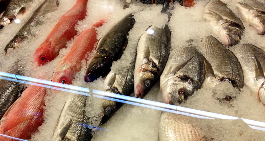 Whole fish in the case