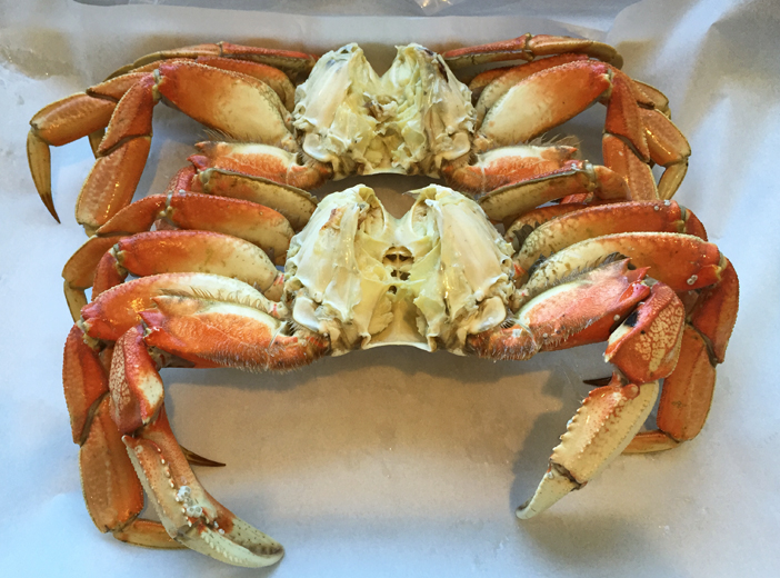 Holiday Dungeness: cleaned, but not cracked... weighing in at 2.25 pounds each
